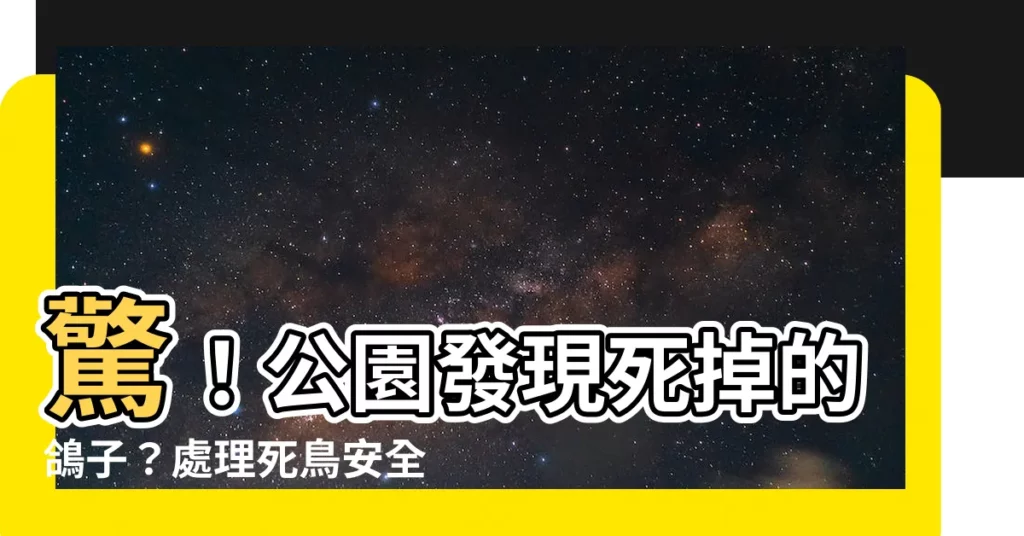 【死掉的鴿子】驚！公園發現死掉的鴿子？處理死鳥安全指南與Q&A