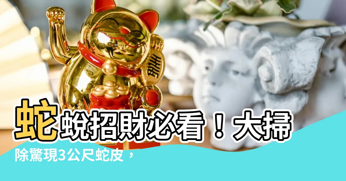 【蛇蜕招財】蛇蜕招財必看！大掃除驚現3公尺蛇皮，原來靈氣就在家裡