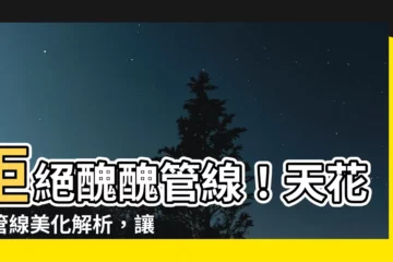 【天花板管線美化】拒絕醜醜管線！天花板管線美化解析，讓你家的天花板大變身