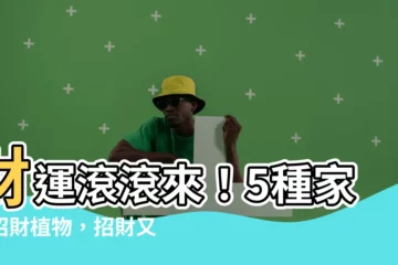 【家裡招財植物】財運滾滾來！5種家裡招財植物，招財又好養