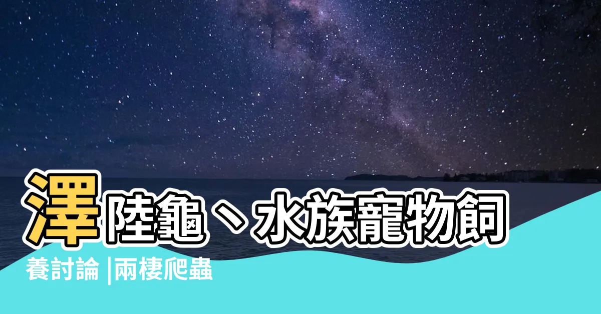 【蛇頸龜飼養】澤陸龜丶水族寵物飼養討論 |兩棲爬蟲新閒巜報導 |蛇頸龜的個人心得 |