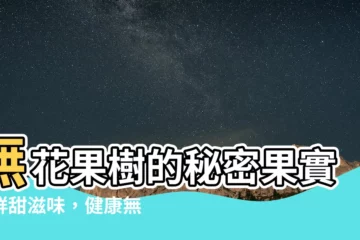 【無花果樹】無花果樹的秘密果實：鮮甜滋味，健康無價