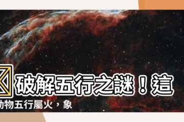 【屬火的動物】🔥破解五行之謎！這些動物五行屬火，象徵著熱情與活力！