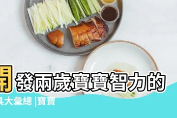 【小孩玩具名稱彙總】開發兩歲寶寶智力的玩具大彙總 |寶寶3歲玩什麼玩具適合 |你們要的美國玩具品牌TOP10 |