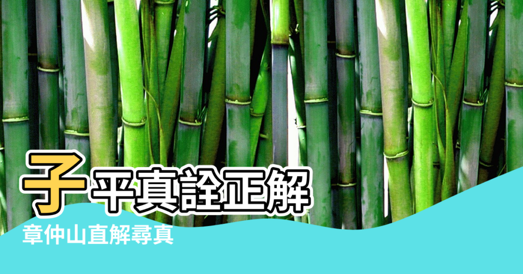 【宗龍子命理風水】子平真詮正解 |章仲山直解尋真 |命理書籍 |