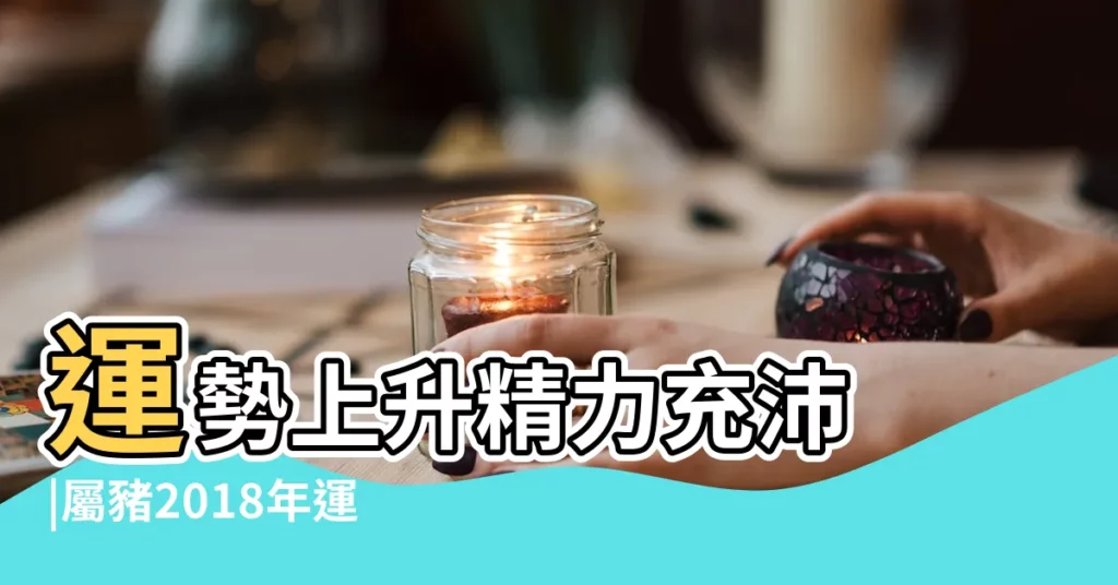 運勢上升精力充沛 |屬豬2018年運勢及運程大師精準預測 |屬豬的人2018年運程生肖豬2018年運勢一覽表 |【屬豬的2018年12月財運】