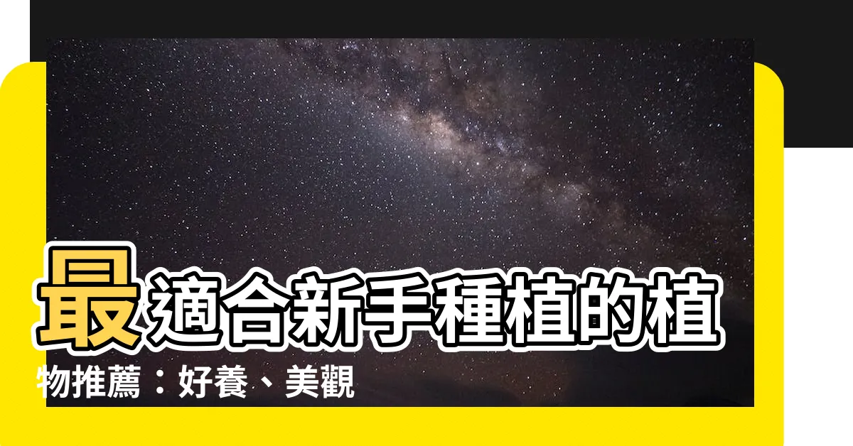 【什麼植物最好種】最適合新手種植的植物推薦：好養、美觀，還能招財旺運