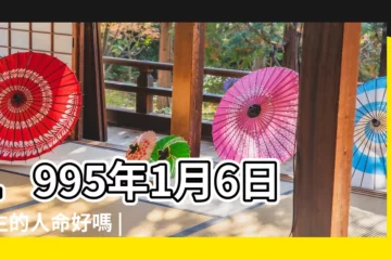 【1995年1月6號是什麼命】1995年1月6日出生的人命好嗎 |是什麼命 |1995年1月6日出生的人是什麼命 |
