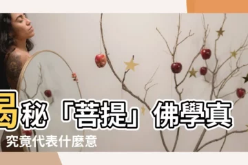 【菩提意思】揭秘「菩提」佛學真義：究竟代表什麼意思？