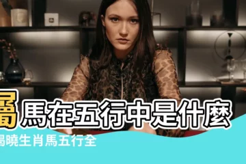 【生肖屬馬 五行】屬馬在五行中是什麼？揭曉生肖馬五行全解析！