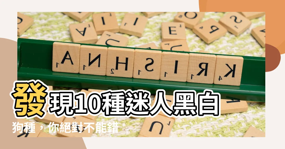 【黑白狗】發現10種迷人黑白狗種，你絕對不能錯過！