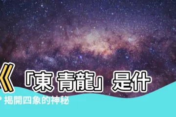【東 青龍】《「東 青龍」是什麼？揭開四象的神秘力量，找到你的守護神！》