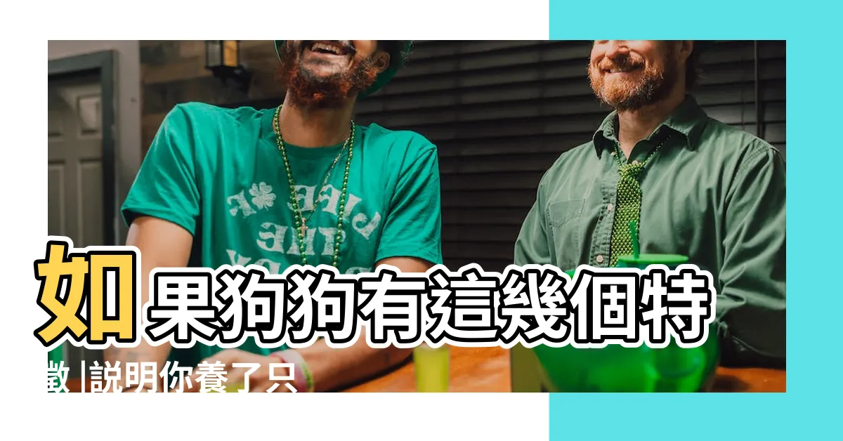 【狗帶財】如果狗狗有這幾個特徵 |説明你養了只 |的6個特徵 |
