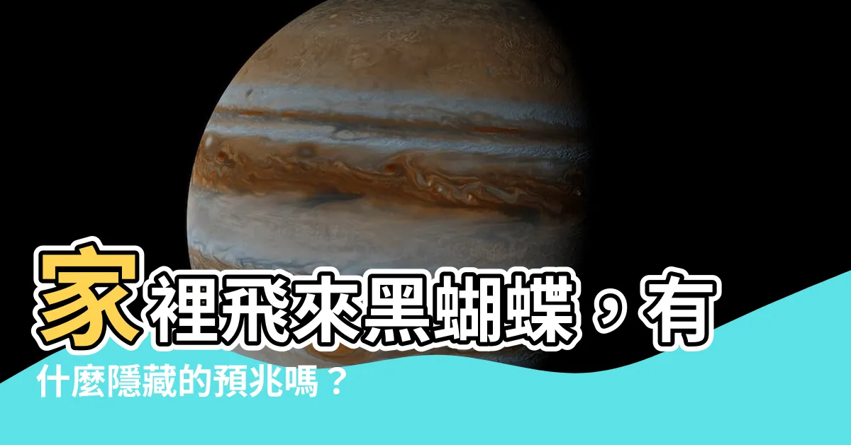 【家裡飛來黑蝴蝶】家裡飛來黑蝴蝶，有什麼隱藏的預兆嗎？