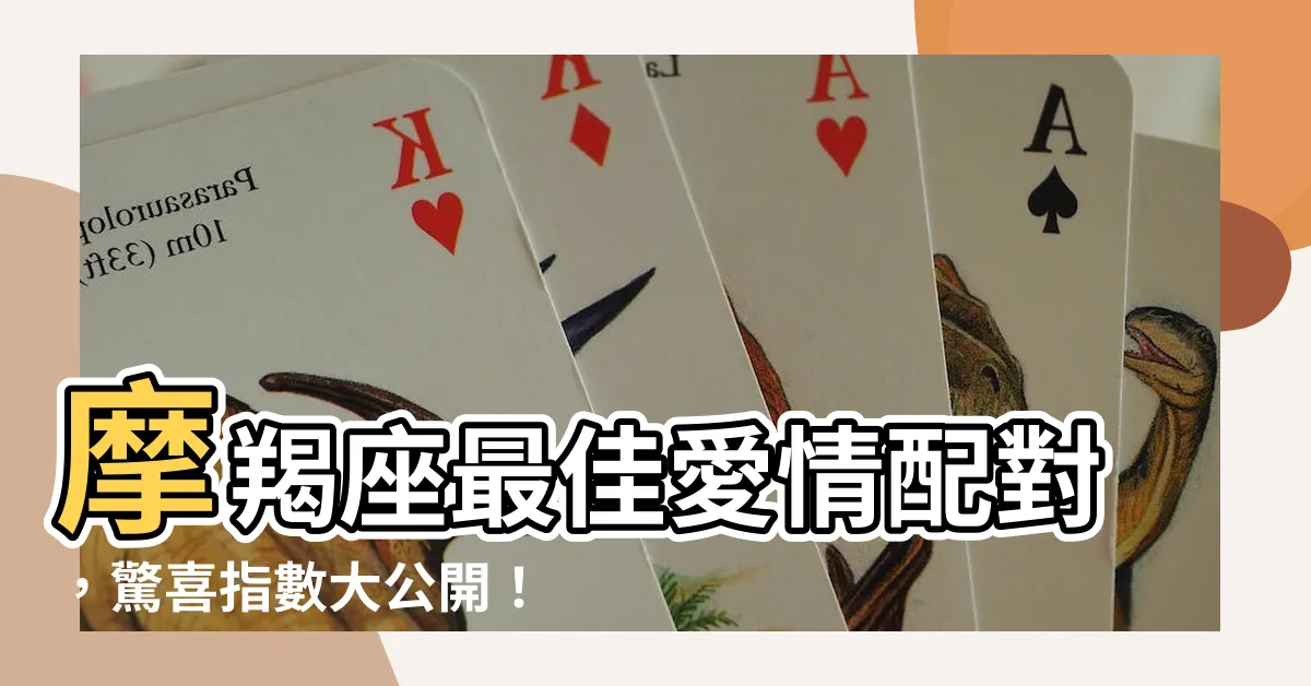 【摩羯座配對】摩羯座最佳愛情配對，驚喜指數大公開！