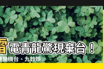【雷電青龍棄台】雷電青龍驚現棄台！八通屋機台、九鈴娛樂城情報大公開