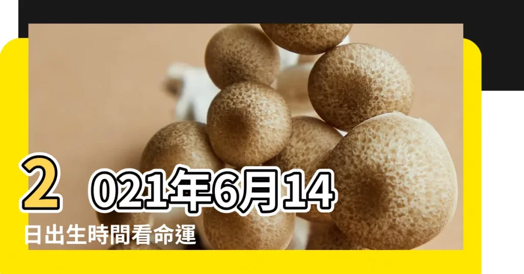2021年6月14日出生時間看命運 |2022年6月14日出生時間看命運 |6月14日生日算命6月14日出生人命運 |【6月14日出生的人 命運怎麼樣】