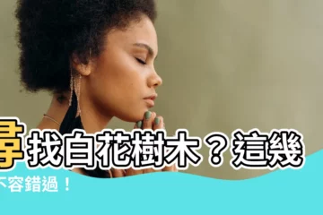 【白花樹木】尋找白花樹木？這幾棵不容錯過！