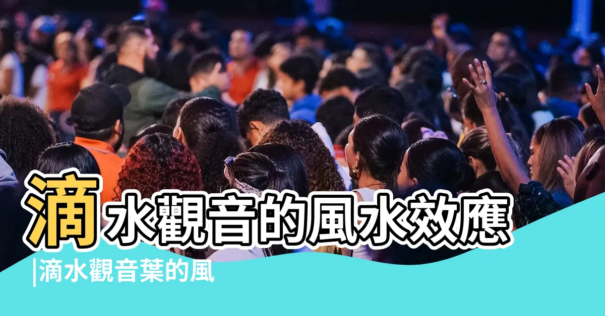 【滴水觀音風水】滴水觀音的風水效應 |滴水觀音葉的風水寓意 |養花的朋友千萬要看 |