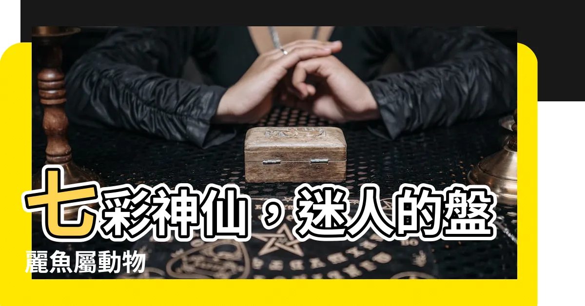【盤麗魚屬】七彩神仙，迷人的盤麗魚屬動物
