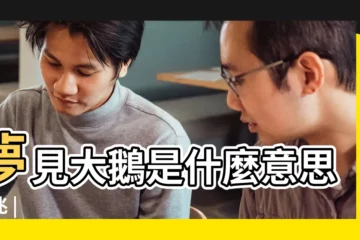 【做夢夢見大鵝是什麼意思】夢見大鵝是什麼意思預兆 |