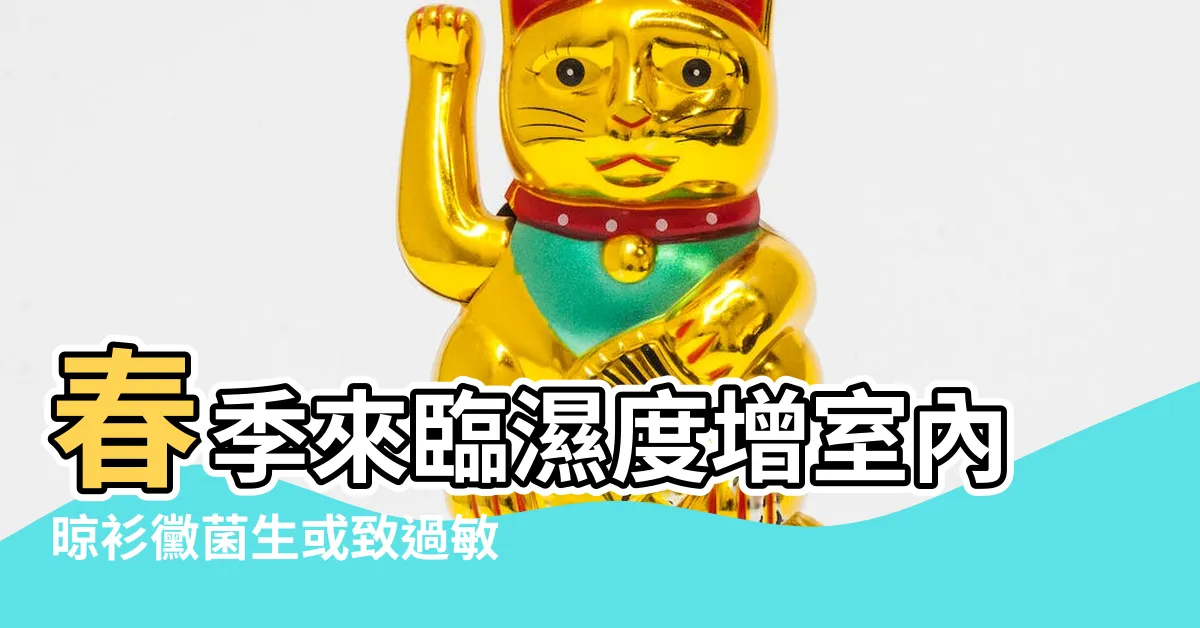 【濕度 黴菌】春季來臨濕度增室內晾衫黴菌生或致過敏發炎4個方法控濕防黴 |家居濕度幾多才算乾爽 |室內濕度要控制在40 |