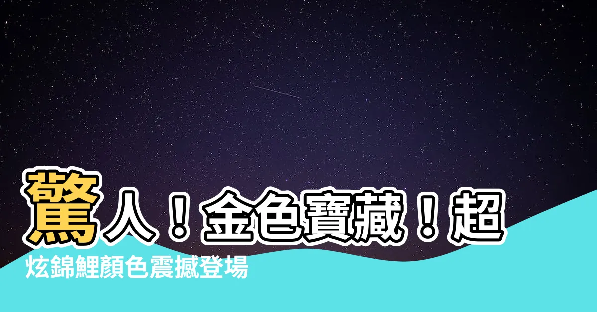 【錦鯉 顏色】驚人！金色寶藏！超炫錦鯉顏色震撼登場，不容錯過！