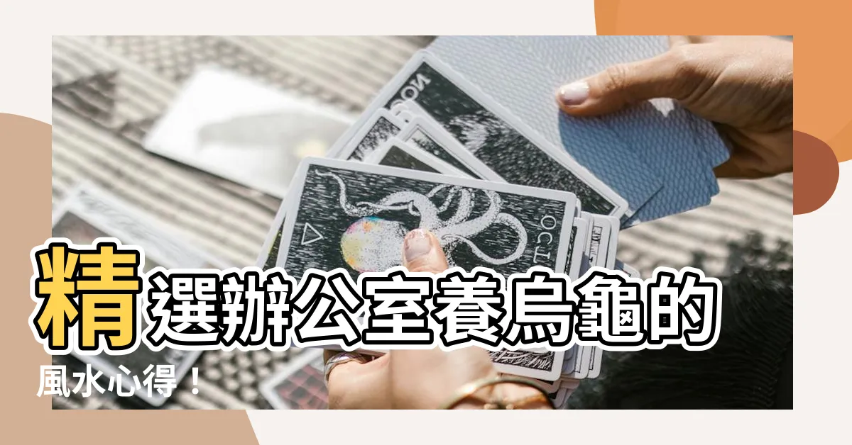【辦公室養烏龜】精選辦公室養烏龜的風水心得！
