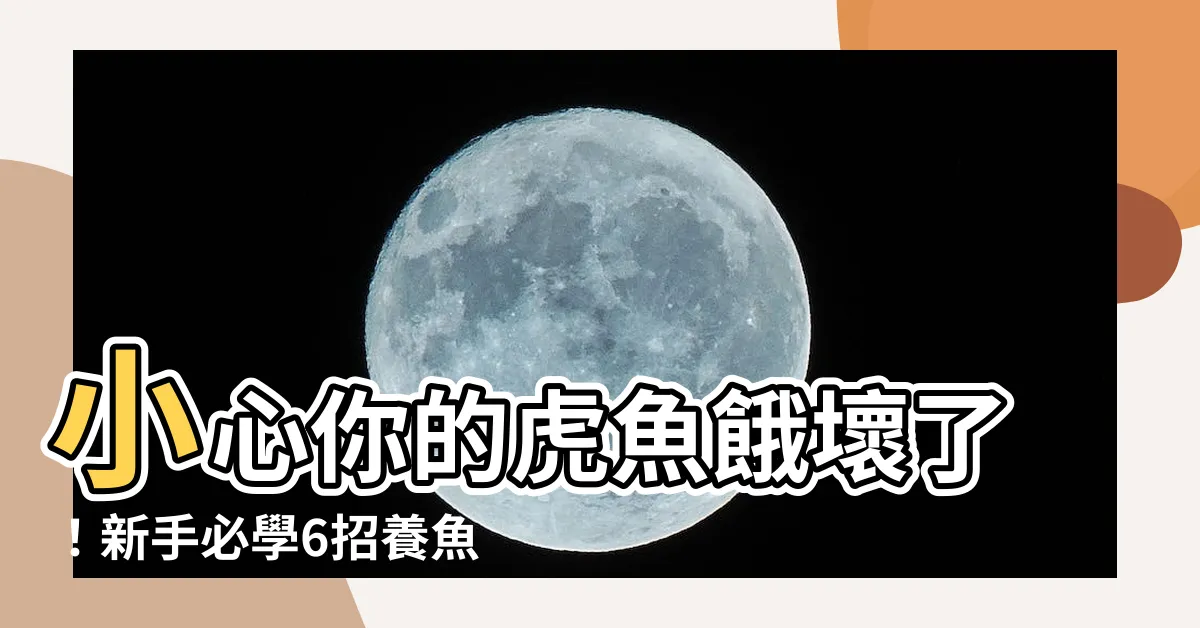 【養魚虎】小心你的虎魚餓壞了！新手必學6招養魚虎餵食攻略！