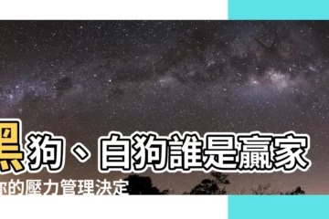 【黑狗 白狗】黑狗、白狗誰是贏家？你的壓力管理決定關鍵