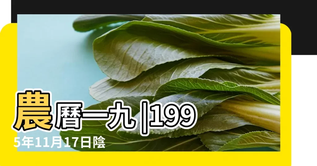 農曆一九 |1995年11月17日陰曆多少號 |1995年11月17日農曆多少號 |【1995 11 17陰曆】