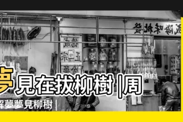 【懷孕的人夢見有人砍了好多柳樹】夢見在拔柳樹 |周公解夢夢見柳樹 |孕婦夢見粗壯的大樹 |