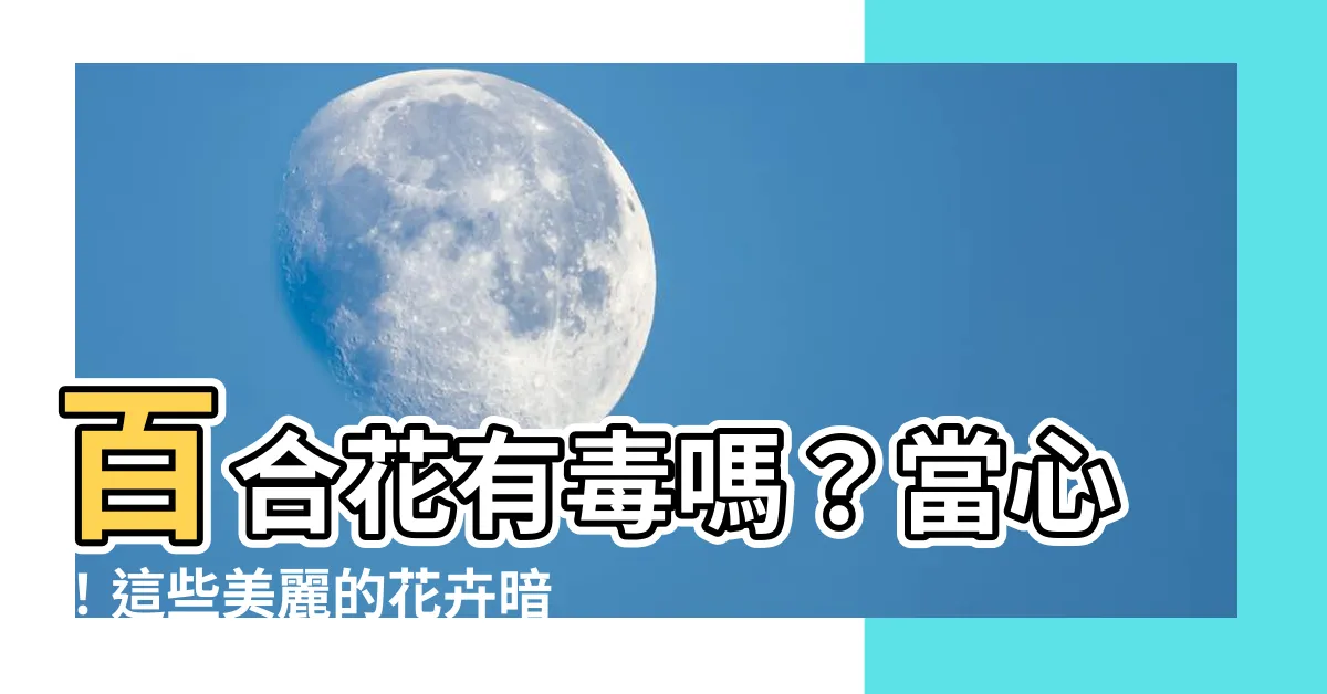 【百合花有毒嗎】百合花有毒嗎?當心!這些美麗的花卉暗藏危機!