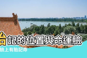 【臉上胎記位置看命運吉凶】胎記的位置與命運臉部 |臉上有胎記命運 |胎記算命 |