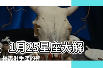 【11月25星座】11月25星座大解析！揭露射手座的神秘性格特質