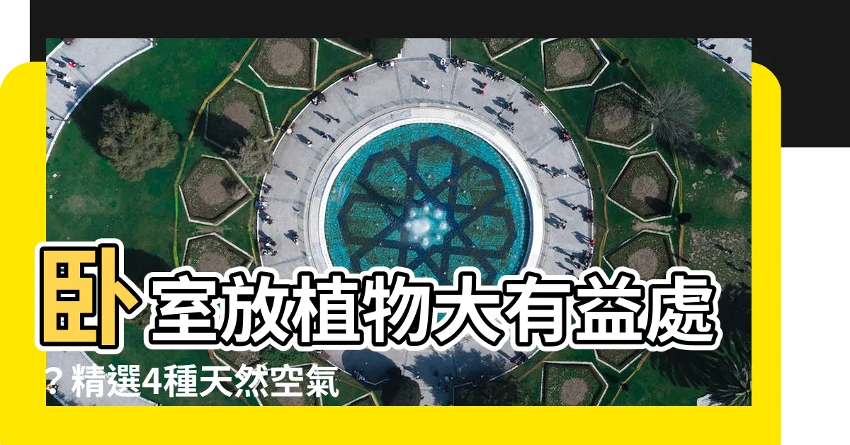 【房間可以放植物嗎】卧室放植物大有益處？精選4種天然空氣清淨機，助你一夜好眠