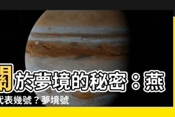 【燕子代表幾號】關於夢境的秘密：燕子代表幾號？夢境號碼大解析！