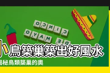 【小鳥築巢】小鳥築巢築出好風水！揭秘鳥類築巢的奧秘