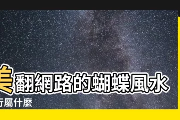 【蝴蝶 五行】美翻網路的蝴蝶風水五行屬什麼