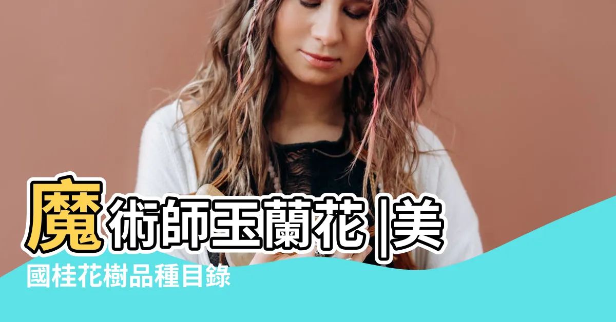 【玉蘭花樹英文】魔術師玉蘭花 |美國桂花樹品種目錄 |
