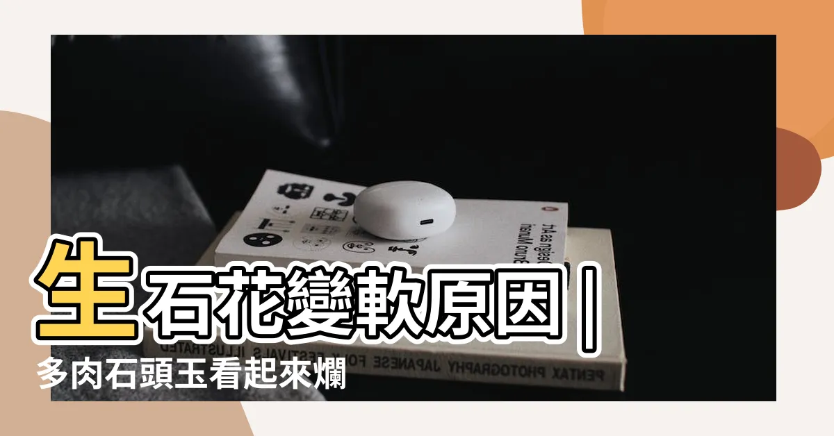 【石頭玉軟掉】生石花變軟原因 |多肉石頭玉看起來爛掉了 |MC多肉園 |
