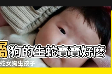 【蛇和狗生孩子屬相好】屬狗的生蛇寶寶好麼 |男蛇女狗生孩子屬什麼屬相好 |屬狗生屬蛇寶寶好不好 |