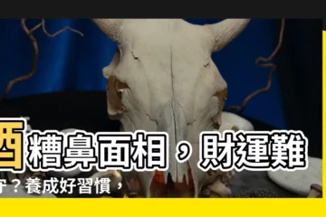 【酒糟鼻 面相】酒糟鼻面相，財運難聚守？養成好習慣，逆轉面相招好運