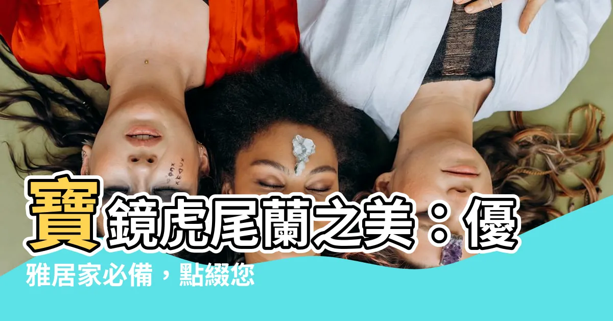 【寶鏡虎尾蘭】寶鏡虎尾蘭之美：優雅居家必備，點綴您的品味空間