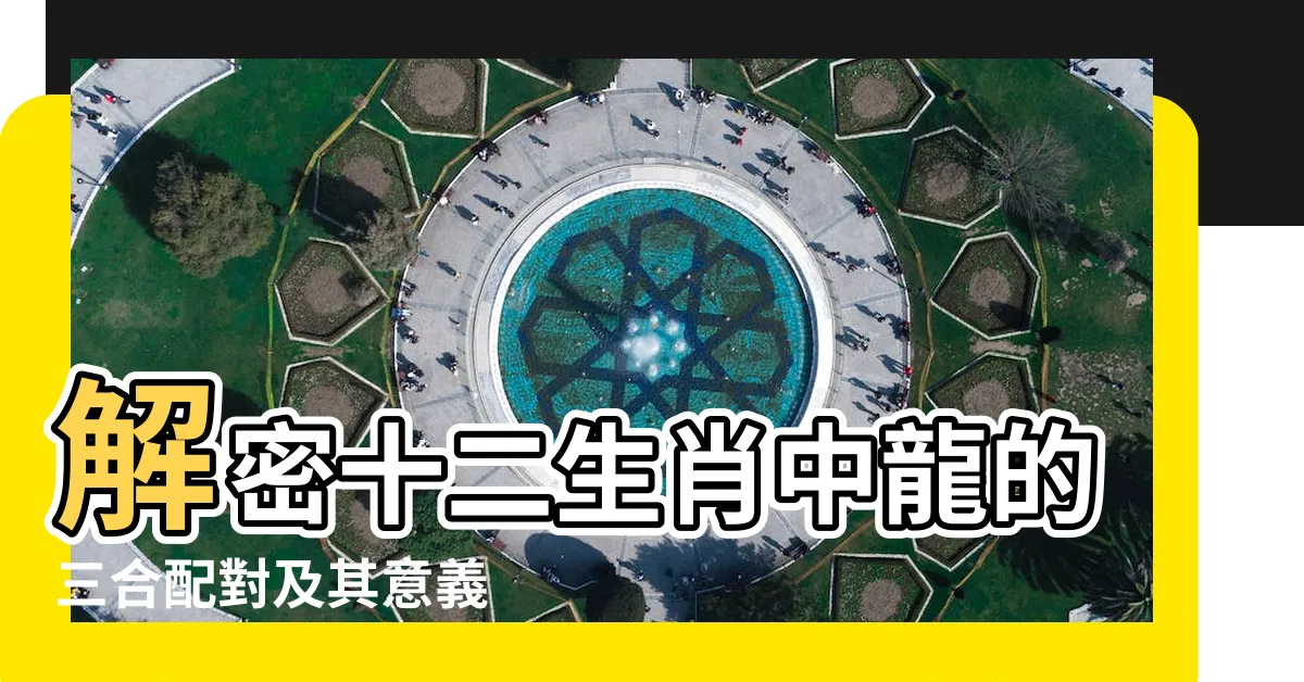 【龍的三合】解密十二生肖中龍的三合配對及其意義