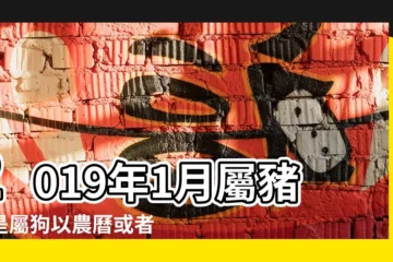 【2019年1月出生陰曆屬什麼】2019年1月屬豬還是屬狗以農曆或者立春都是屬狗 |2019年1月出生的寶寶屬什麼屬相歸屬有講究 |2019年1月14是什麼屬相 |