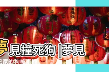 【夢見自己撞到一條狗】夢見撞死狗 |夢見自己家的狗被車撞 |夢見自己的狗被車撞 |
