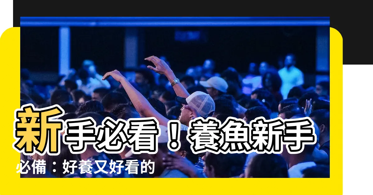 【好養的小型魚】新手必看！養魚新手必備：好養又好看的小型魚指南