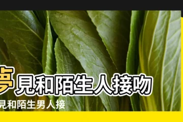 【夢到和陌生小男孩接吻 周公解夢】夢見和陌生人接吻 |夢見和陌生男人接吻是什麼意思預兆 |夢見和陌生男人接吻是什麼意思 |
