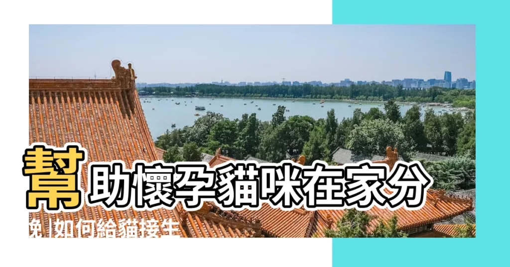 幫助懷孕貓咪在家分娩 |如何給貓接生 |最全攻略 |【貓生小貓】